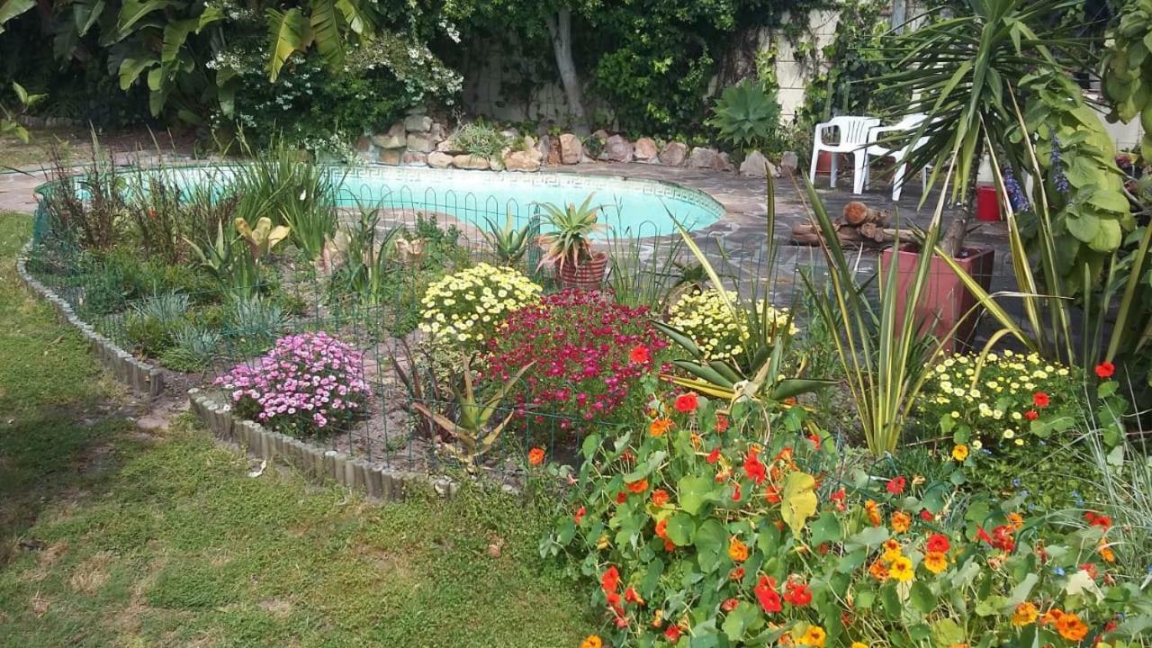 11 Lucius Way Apartment Cape Town Bagian luar foto